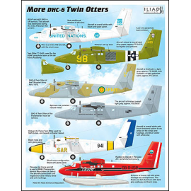 Even more colourful DHC-6 Twin Otter markings 